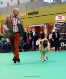 Mona Lisa at Crufts